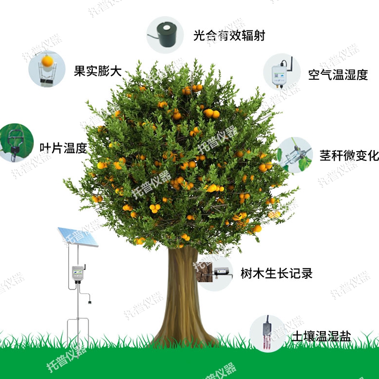 植物生理生態監測系統