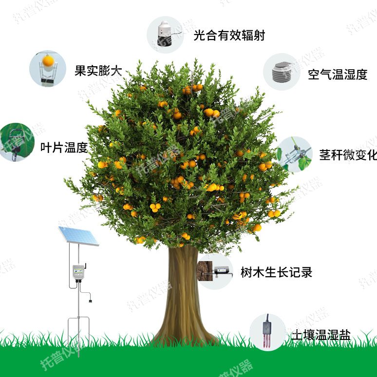 TP-ZWSL植物生理生態(tài)監(jiān)測系統(tǒng)